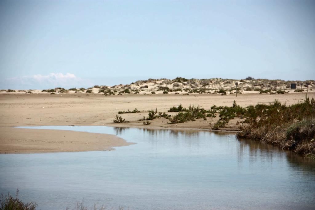 Mi Apartamento En El Delta Del Ebro Deltebre Eksteriør bilde