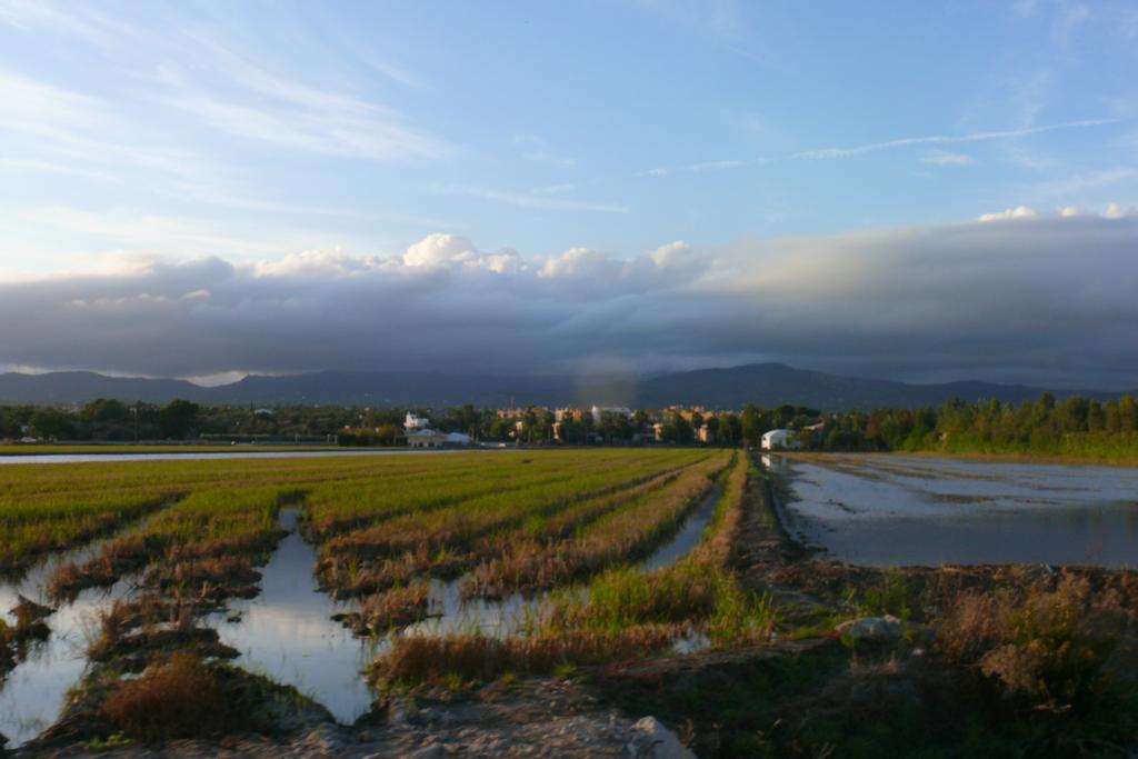 Mi Apartamento En El Delta Del Ebro Deltebre Eksteriør bilde
